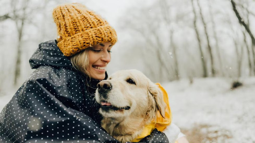 Keeping Your Dog Warm in Winter: Essential Tips for Pet Owners