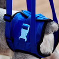 Pet Dog Leg Support Rear Lifting Brace Harness for Old Dogs, Aid Assist Tool Rehab Harness for Dogs with Weak Rear Legs