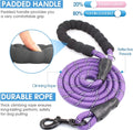 Reflective Dog Leash Set