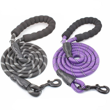 Reflective Dog Leash Set