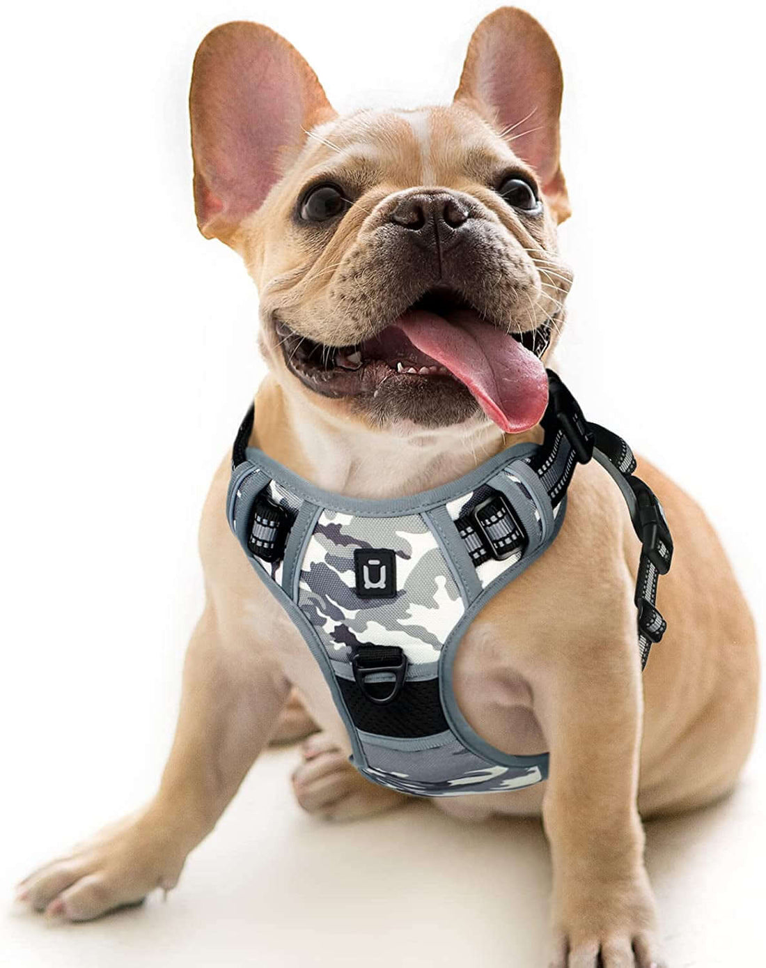 No-Pull Medium Dog Harness