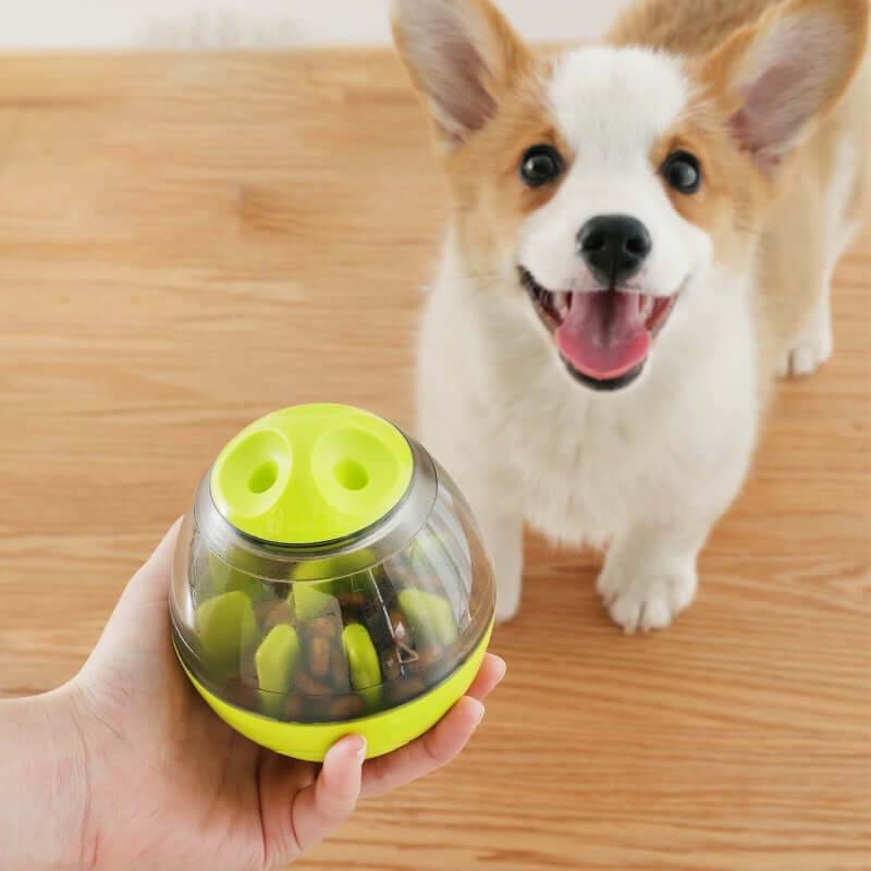 Pet IQ Treat Ball Dispenser