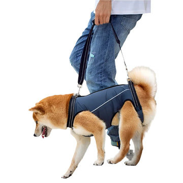 Dog Lift Harness