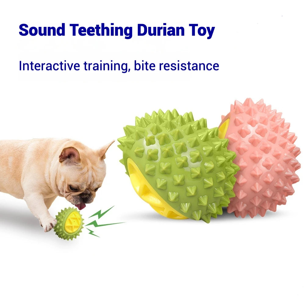 Interactive Hunting Cat Toy