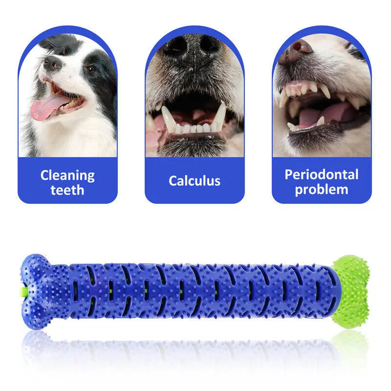 Durable Dog Chew Toothbrush Toy