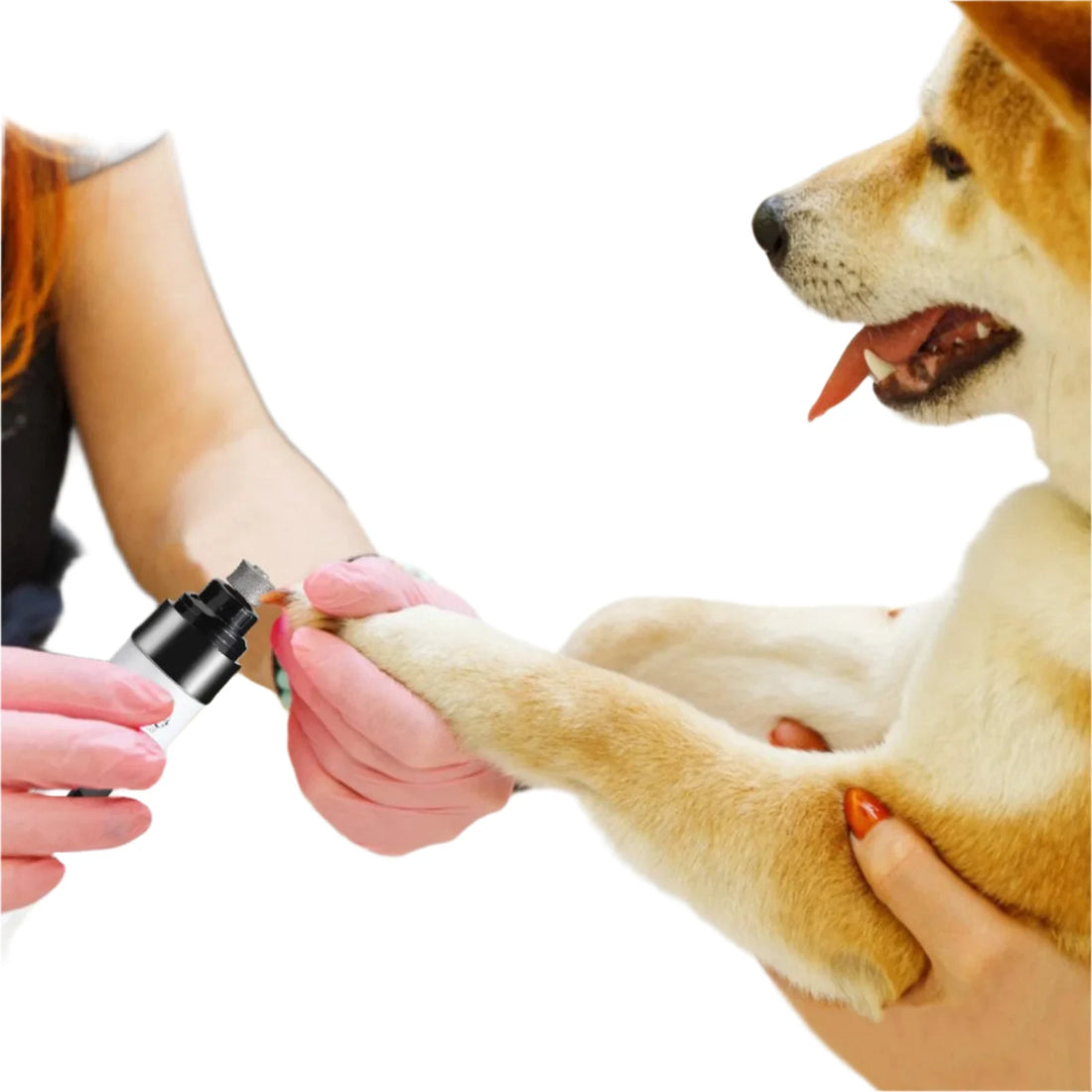 Electric Rechargeable Pet Nail Grinder