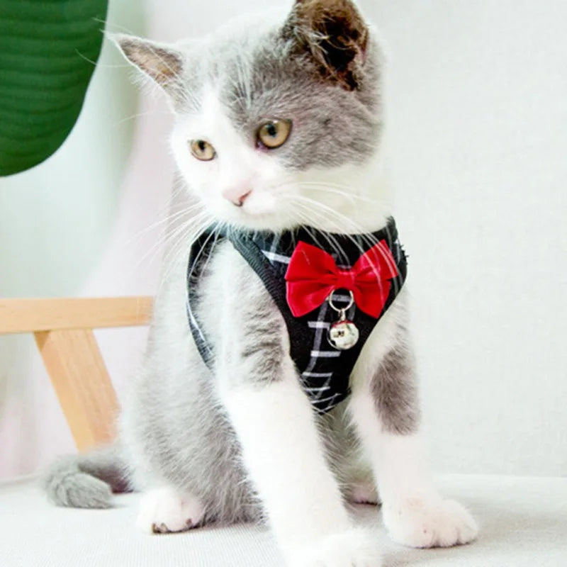 Stylish Pet Bow Tie Harness.