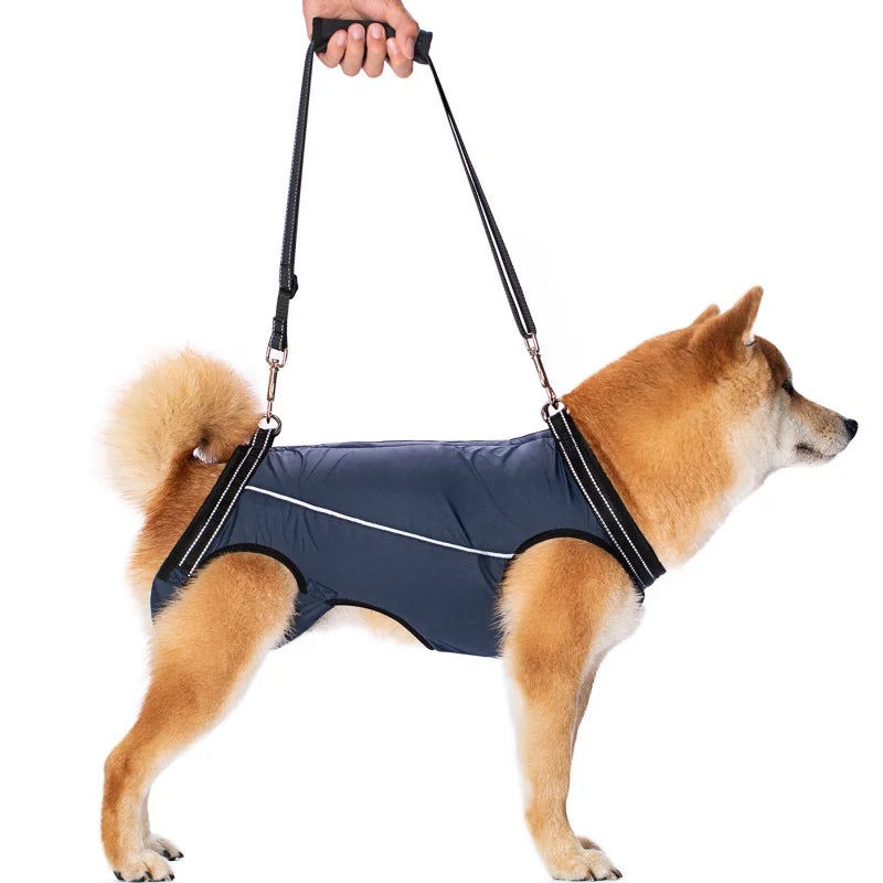 Dog Lift Harness