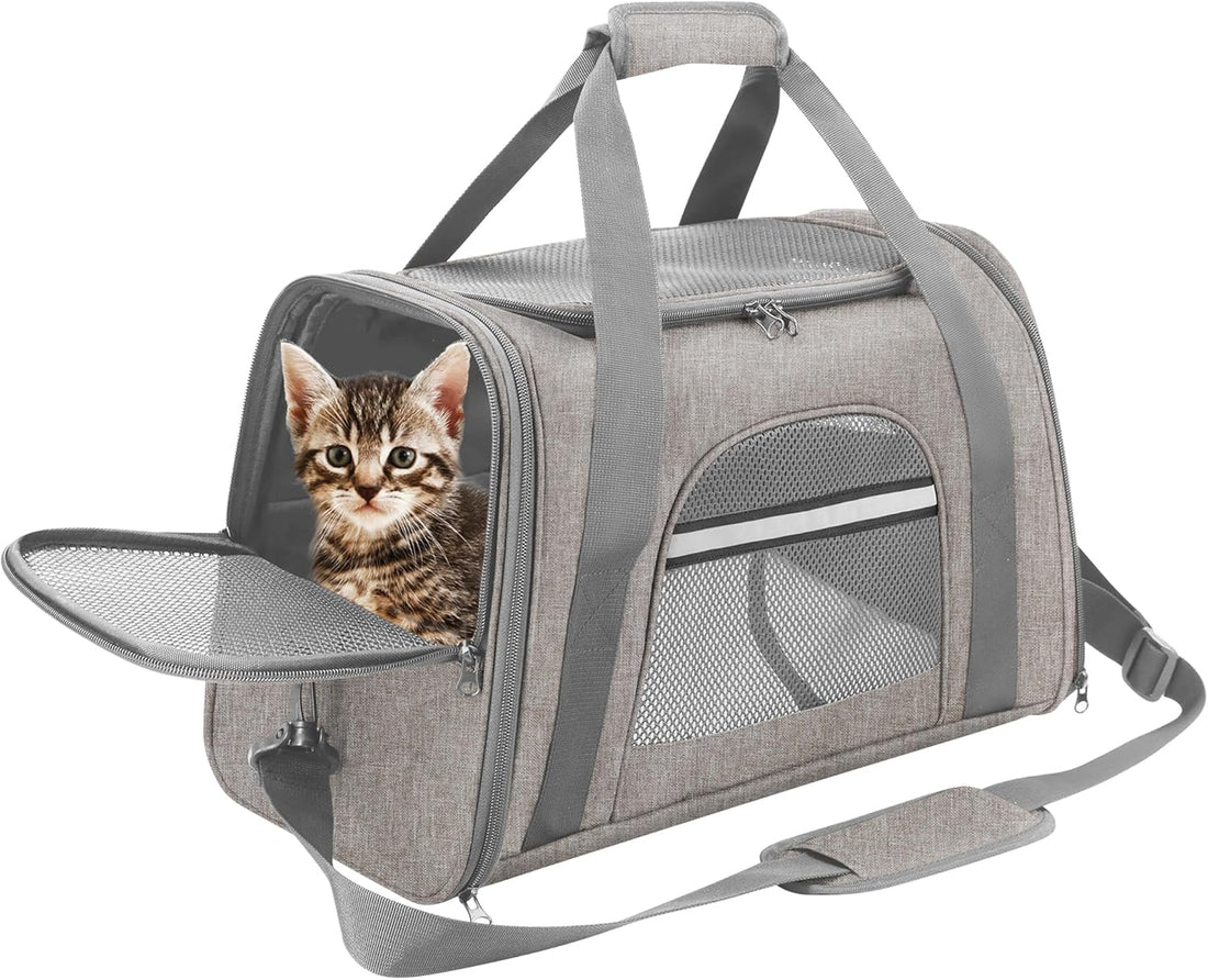 Collapsible Pet Travel Carrier