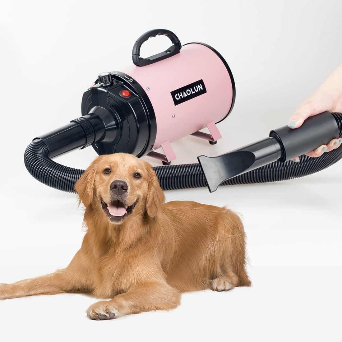 Pet Grooming Blow Dryer Set