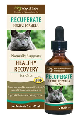 Recuperate Herbal Formula for Cats, 2oz.